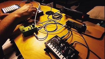 Live Looping Synth Jam featuring PO-14 Sub, Volca Sample2, and NTS-1