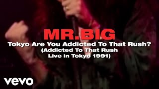Mr. Big - Tokyo Are You Addicted To That Rush? (Live in Tokyo 1991)
#MrBig - Tokyo Are You Addicted To That Rush? (Live in Tokyo 1991)
http://vevo.ly/XkRxKd Mr. Big - Tokyo Are You Addicted To That Rush? (Live in Tokyo 1991)