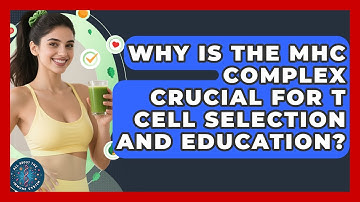 Why Is The MHC Complex Crucial For T Cell Selection And Education? - All About the Immune System