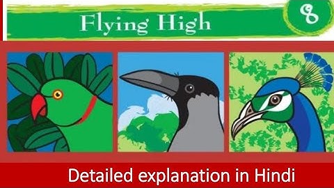 Flying High|NCERT Class 3 EVS Chapter 8| CBSE Class 3 EVS Chapter 8