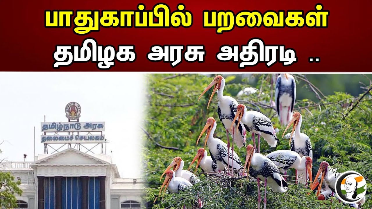 பாதுகாப்பில் பறவைகள் | தமிழக அரசு அதிரடி .. |  Chanakyaa News | 25.06.2023