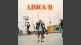 Lisica 2