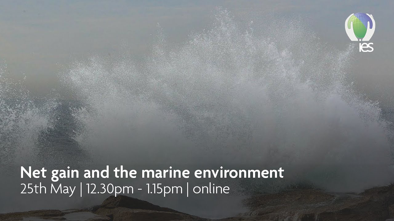 Net gain and the environment