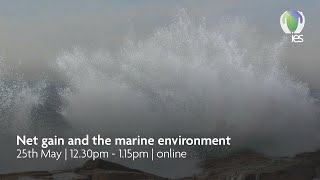 Net gain and the environment
