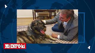 Vučićeve Metafore Od Miša, Pacova I Zunzare Do Slona, Tigra I Vuka