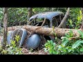 Rare Collection of 50 Classic Cars Abandoned in the Woods