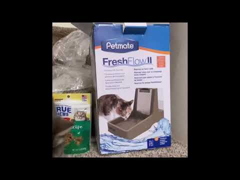 Video: Petmate Pet Fountain Instrucciones