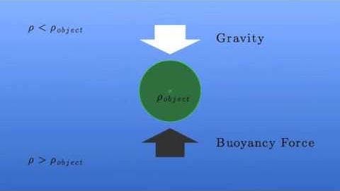 Buoyancy-driven oscillations in stratified flows