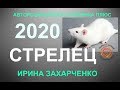 ♐СТРЕЛЕЦ. Гороскоп Стрелец на 2020 год. 12 домов гороскопа. ТАРО-ПРОГНОЗ.