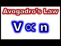 Understanding Avogadro's Law