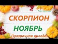 СКОРПИОН♏ НОЯБРЬ2021🚀таро прогноз/таро гороскоп/Прозрачная колода!👍Все знаки зодиака!Онлайн прогноз