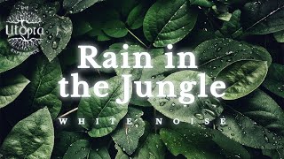 Relaxing Rain in the Jungle White Noise