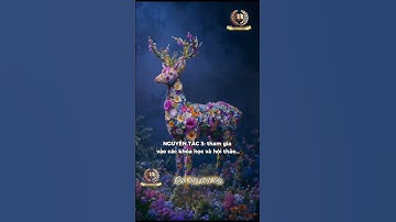 3 Nguyên tắc quan trọng để bạn có thể học tập suốt đời(p3) #phattrienbanthan #tudotaichinh