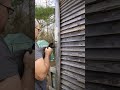 Dispatching a rabbit