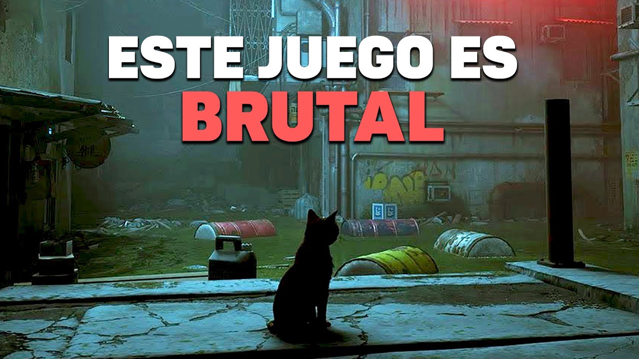 Stray', el juego donde eres un gato ya está disponible en México: de qué  trata, requisitos y cómo descargarlo gratis sin pagar PS Plus