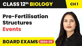 Pre-Fertilisation Structures and Events - Sexual Reproduction in Plants | Class 12 Biology Chapter 1