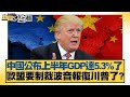 川普與中國貿易政策