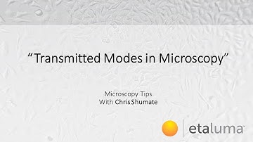 Transmitted Modes of Illumination