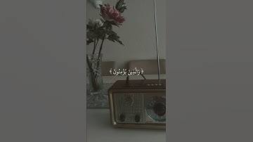 فواتح سورة البقرة بأداء خيالي للشيخ محمد صديق المنشاوي