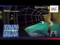 Buwaya, nakita sa tabi ng swimming pool ng isang bahay; ligtas na nakuha ng mga... | Unang Balita
