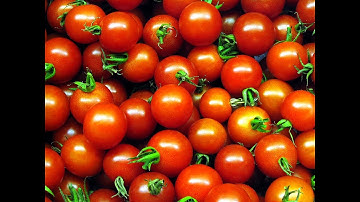 Spray optical sorting machine for cherry tomatoes | RAYTEC VISION SpA