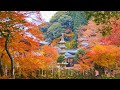 8K HDR 大分 両子寺の紅葉 Oita, Futagoji in Autumn