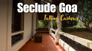 Seclude Goa Falling Cashews 🌴✨ | Hidden Luxury Stay in Goa