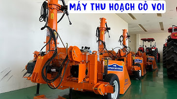 Công ty gold max chuyên cung cấp máy cắt cỏ voi và cây bắp cho trang trại bò sữa 0932567969