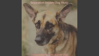 Carefree Backdrops for Reducing Dogs Stress