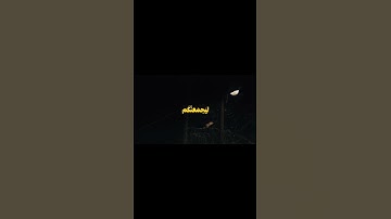 قل لمن مافي السموات والأرض قل لله ، اسم القارئ عمر ضياء سورة #الأنعام #عمر_ضياء_الدين #قرآن #اكسبلور
