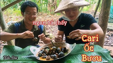 Làm Chảo Cà Ri Ốc Bươu Kiểu Thái Ngon Hết Xẩy Bà Bảy