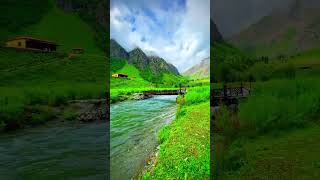 Mansoon🌧️arrvied In Switzerland🌿🇨🇭#shorts#yoytubeshorts#youtube#viral#explore#nature
