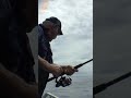 Mahi Mahi on Light Tackle #Shorts