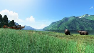 Bush Flying with GRIZZLY BEARS at Quatam River | Microsoft Flight Simulator 2020 (4K UHD)