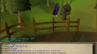RuneScape - Ranarr Farming Guide
