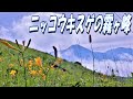 リチャード・クレイダーマン「ドランの微笑」：映像；ニッコウキスゲの霧ヶ峰