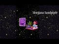 Q&amp;A Indie Authors Uncovered | Morgana Sandpiper  | A chaotic mashup | Chantal Agapiti