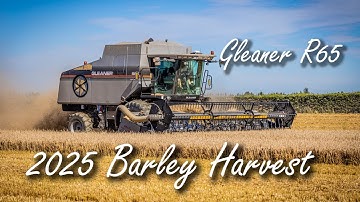 2025 Barley Harvest with Gleaner R65 in New Zealand