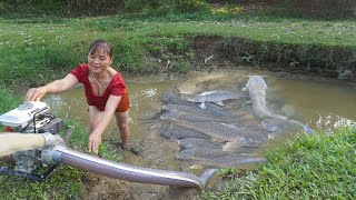 Full video: Fishing Videos - Catch A Lot Of Fish with Capacity Pump - Go To The Village Sell Fish