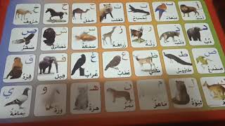 العاب اطفال وتعليم الحروف الابجديه بصور الحيوانات