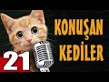Konuşan Kediler 21 - En Komik Kedi Videoları