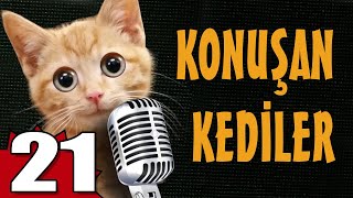 Konuşan Kediler 21 - En Komik Kedi Videoları