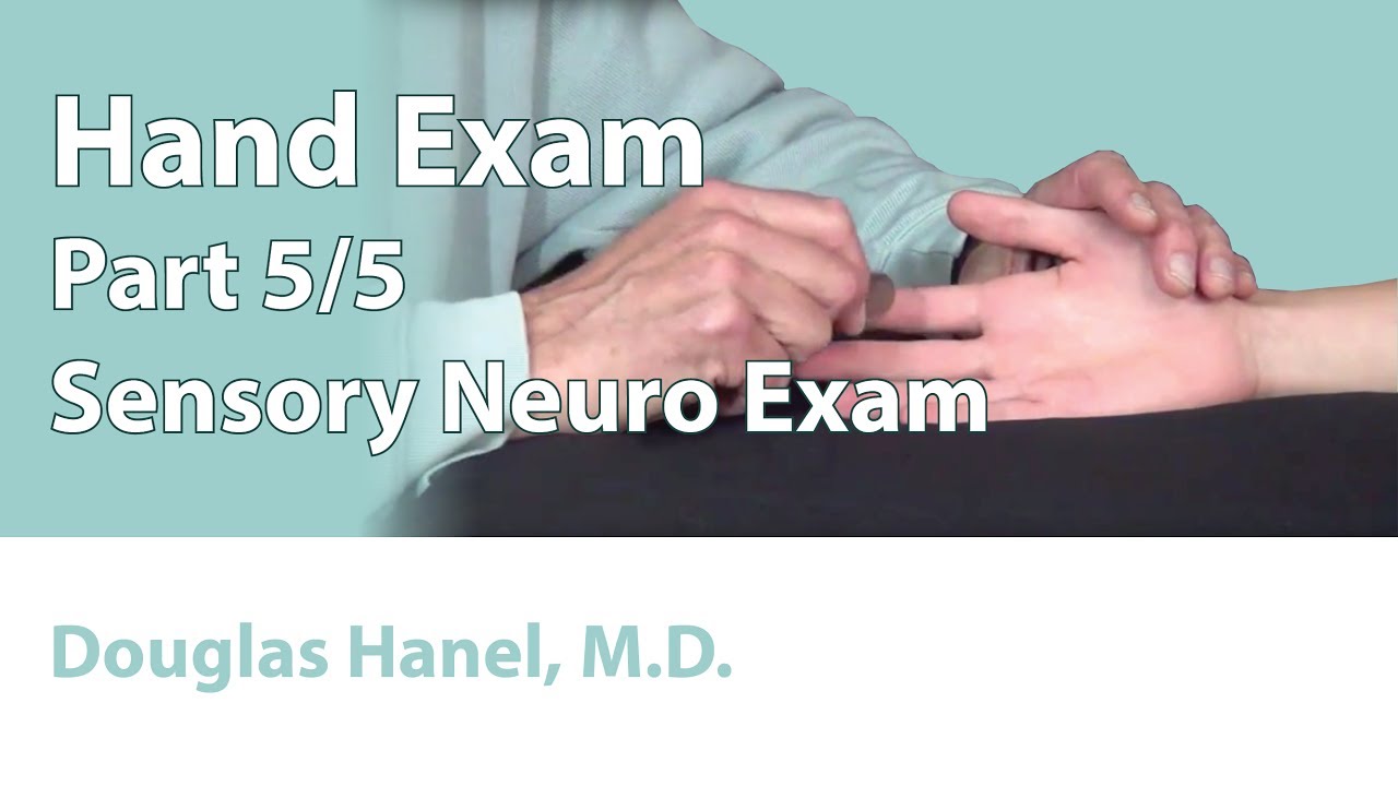 Hand Exam Part 05 Sensory Neuro Exam YouTube Hand Exam Part 05 Sensory Neuro Exam YouTube