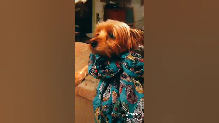 Tik tok