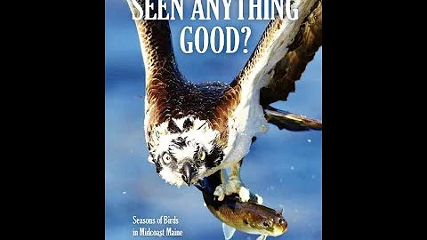 "Seen Anything Good?" book talk with Don Reimer