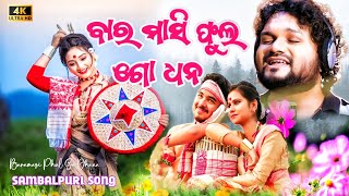 Baramasi Phul || ବାରମାସୀ ଫୁଲ ଗୋ ଧନ || Tranding Sambalpuri Song || Human Sager And Diptirekha Padhi