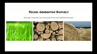 Fungal Biofuels
Part of 2020 Virtual Fungus Fair. Fungal Biofuels