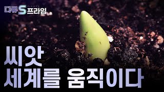 [다큐S프라임] 씨앗 하나에서 시작된 인류의 식량 위기 / YTN 사이언스