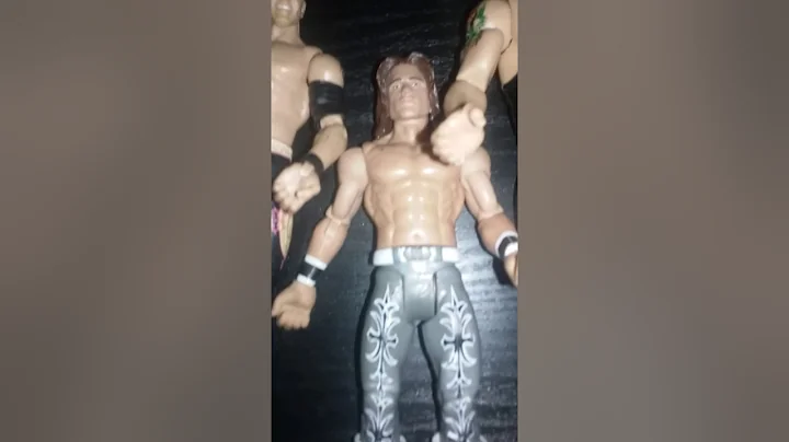 Mike laboy shows all of his wwe action figures