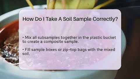 How Do I Take A Soil Sample Correctly? - The Plant Enthusiast